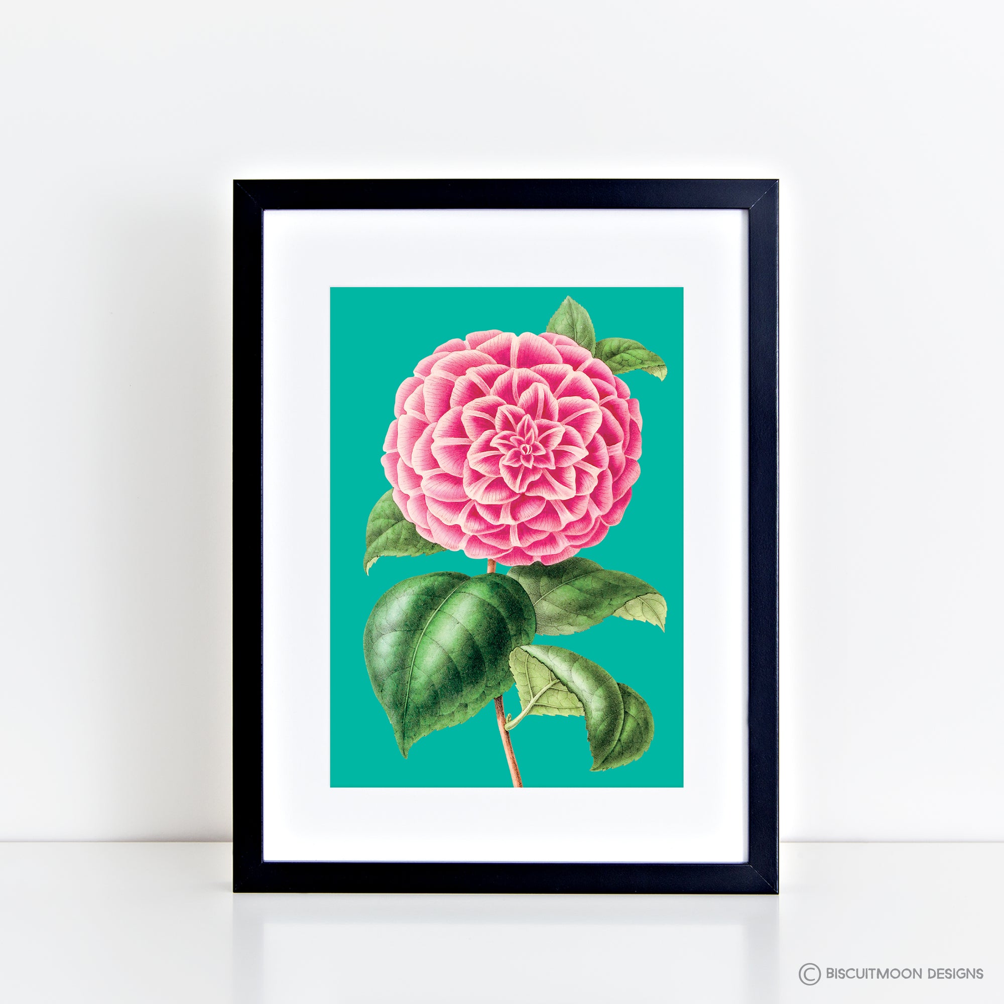 Single Peony (Aqua) Print