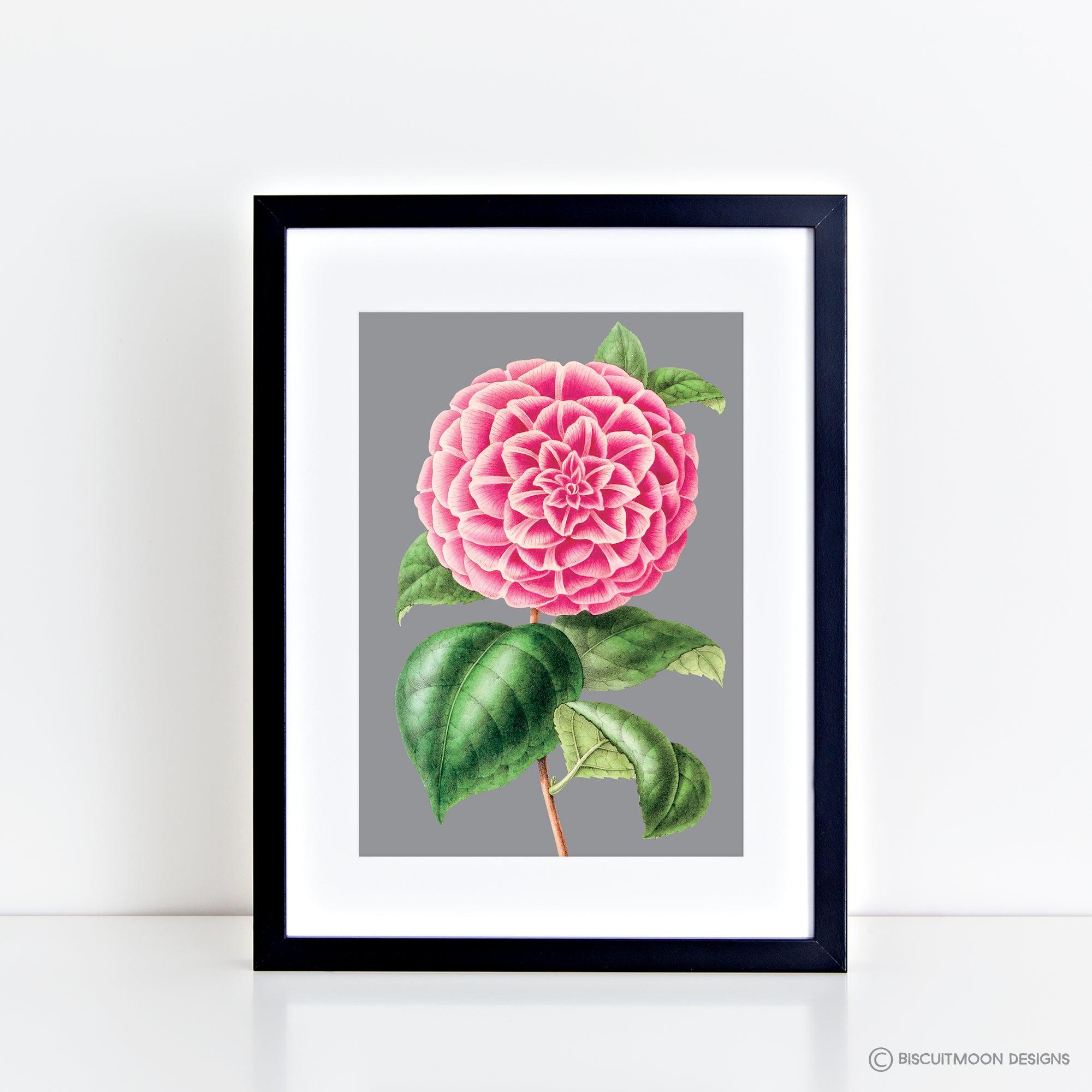 Single Peony (Grey) Print