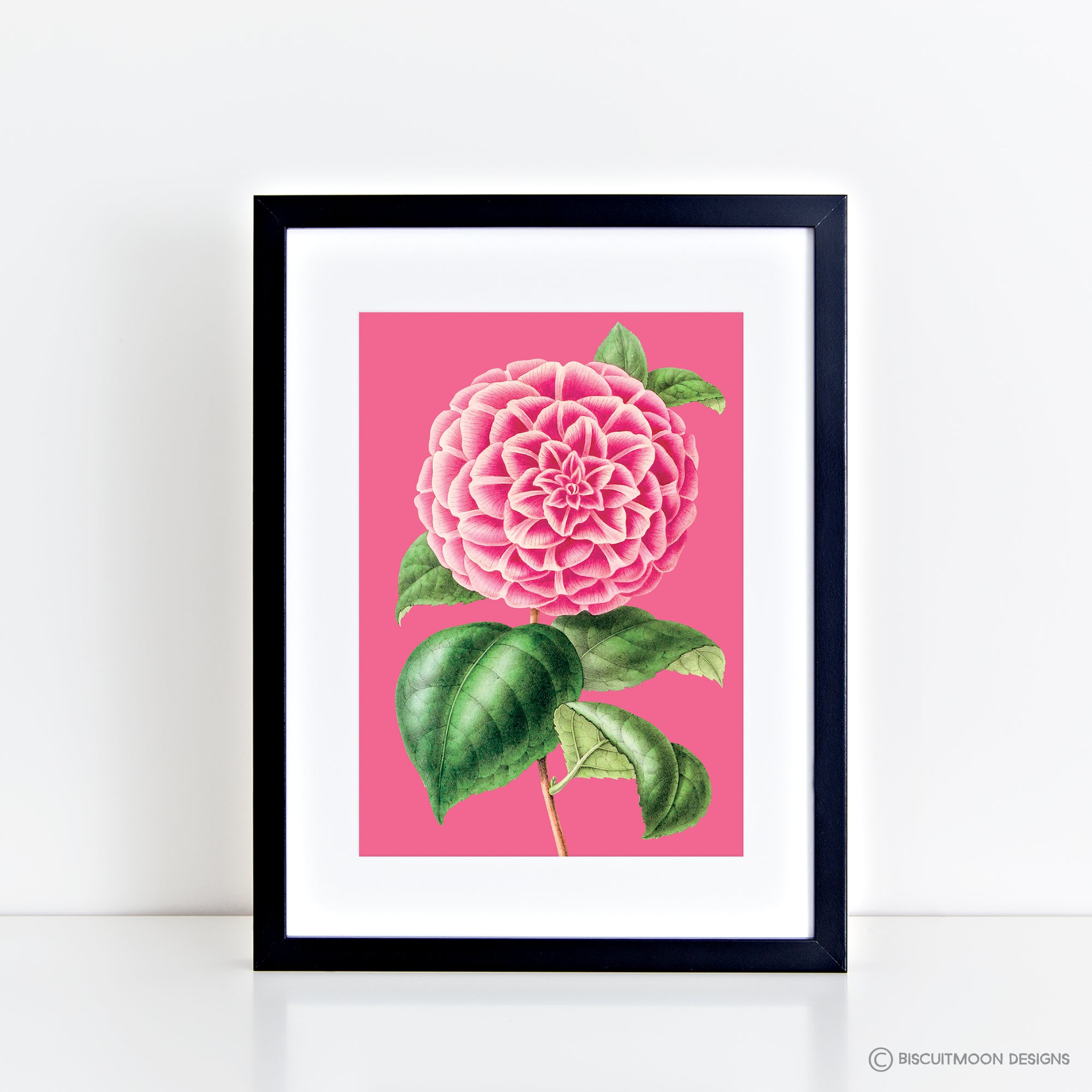 Single Peony (Pink) Print