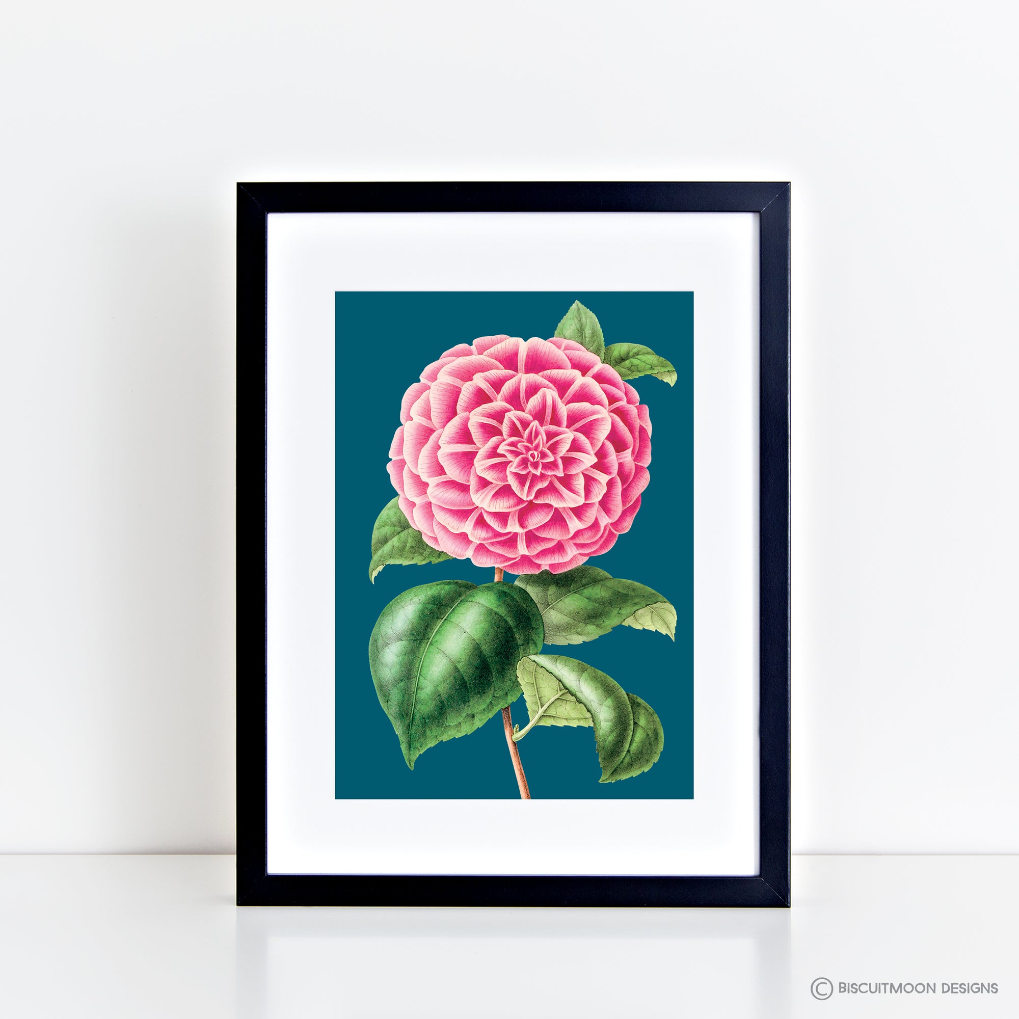 Single Peony (Teal) Print