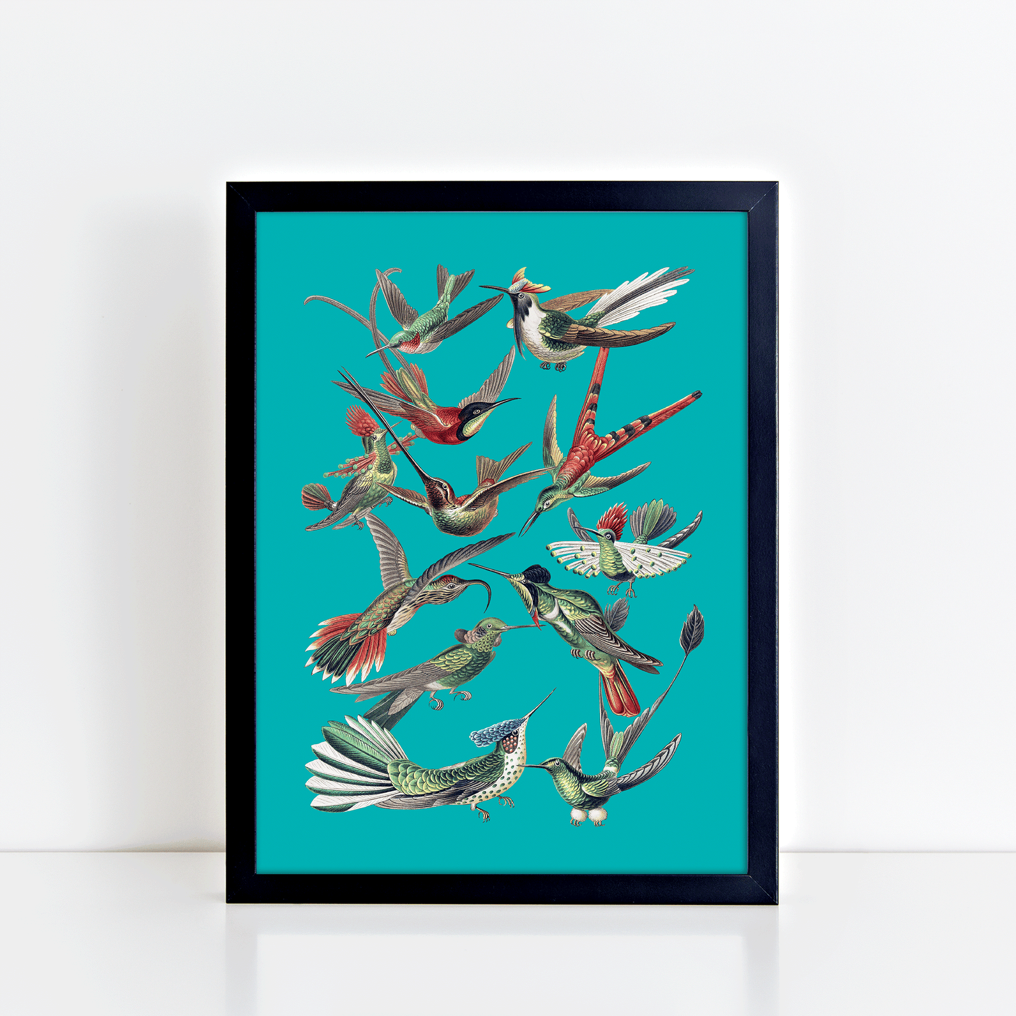 Vintage Birds (Aqua) Print