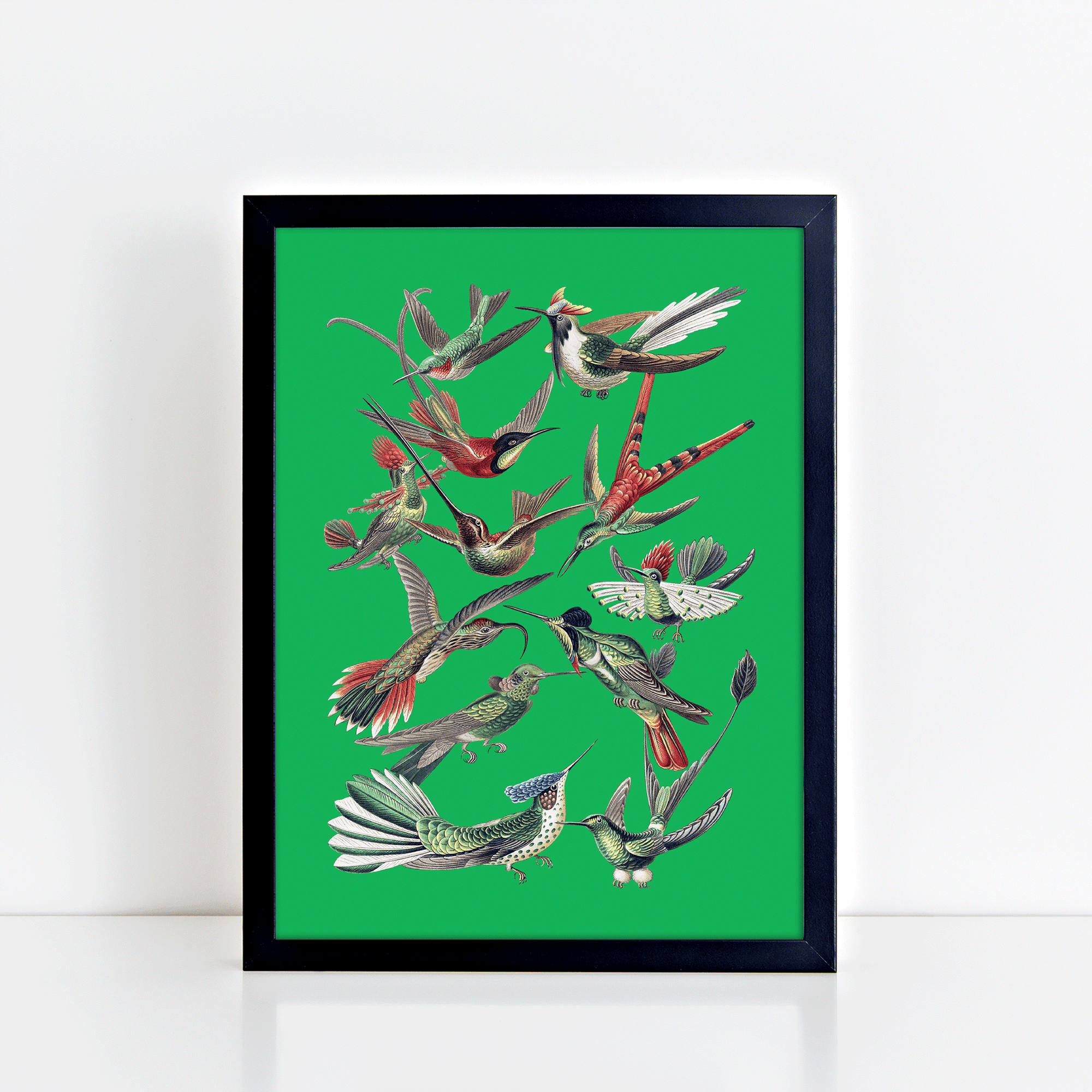 Vintage Birds (Green) Print