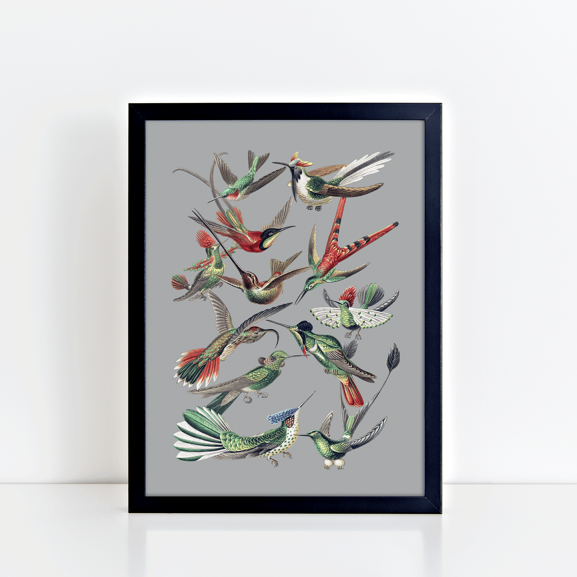 Vintage Birds (Grey) Print