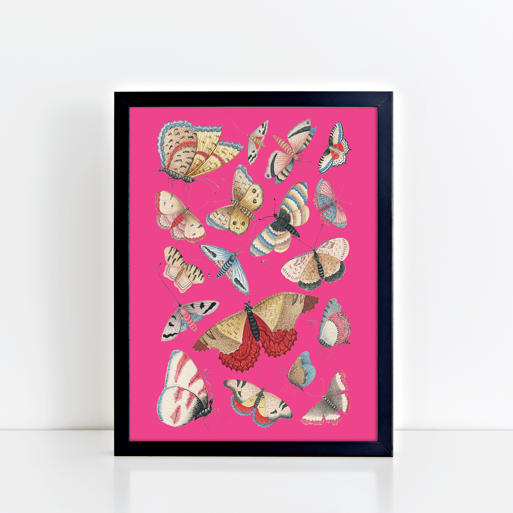 Vintage Butterflies (Pink) Print
