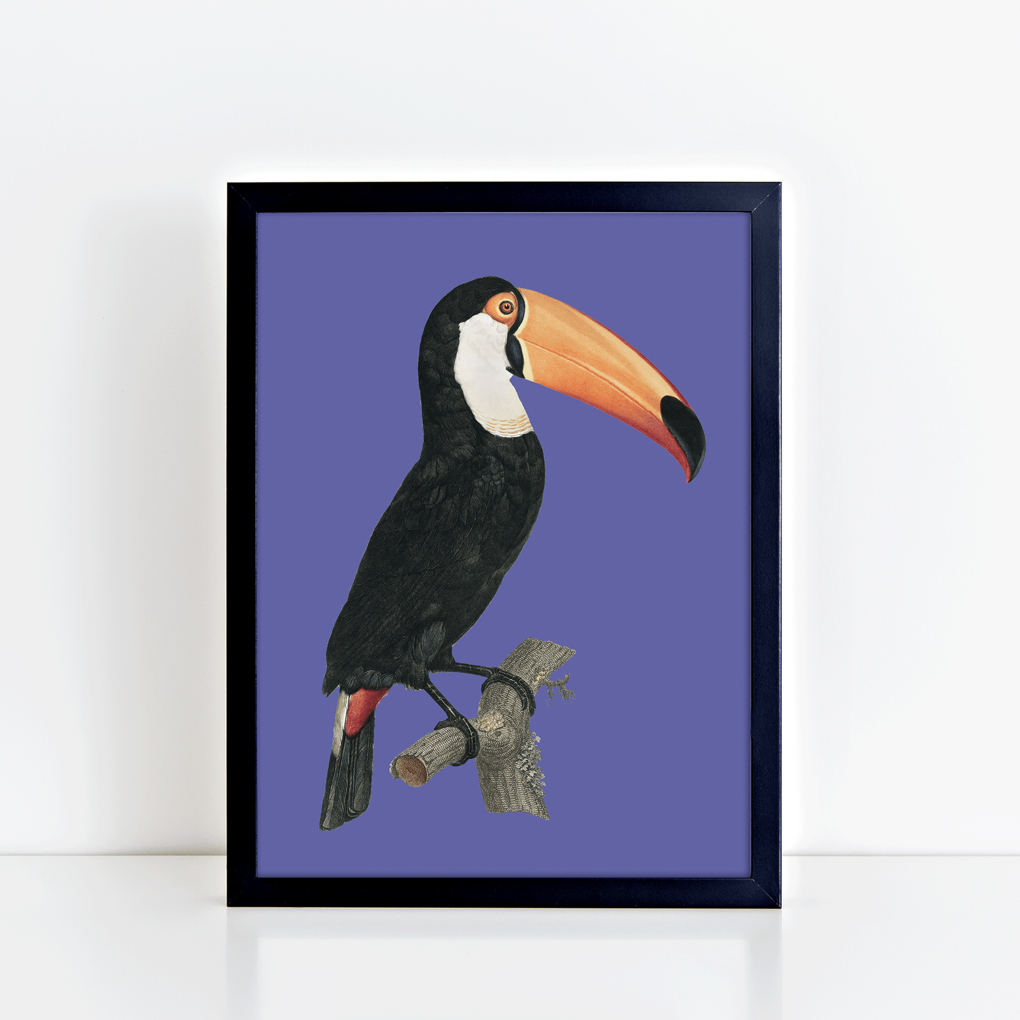Vintage Toucan (Lavender) Print