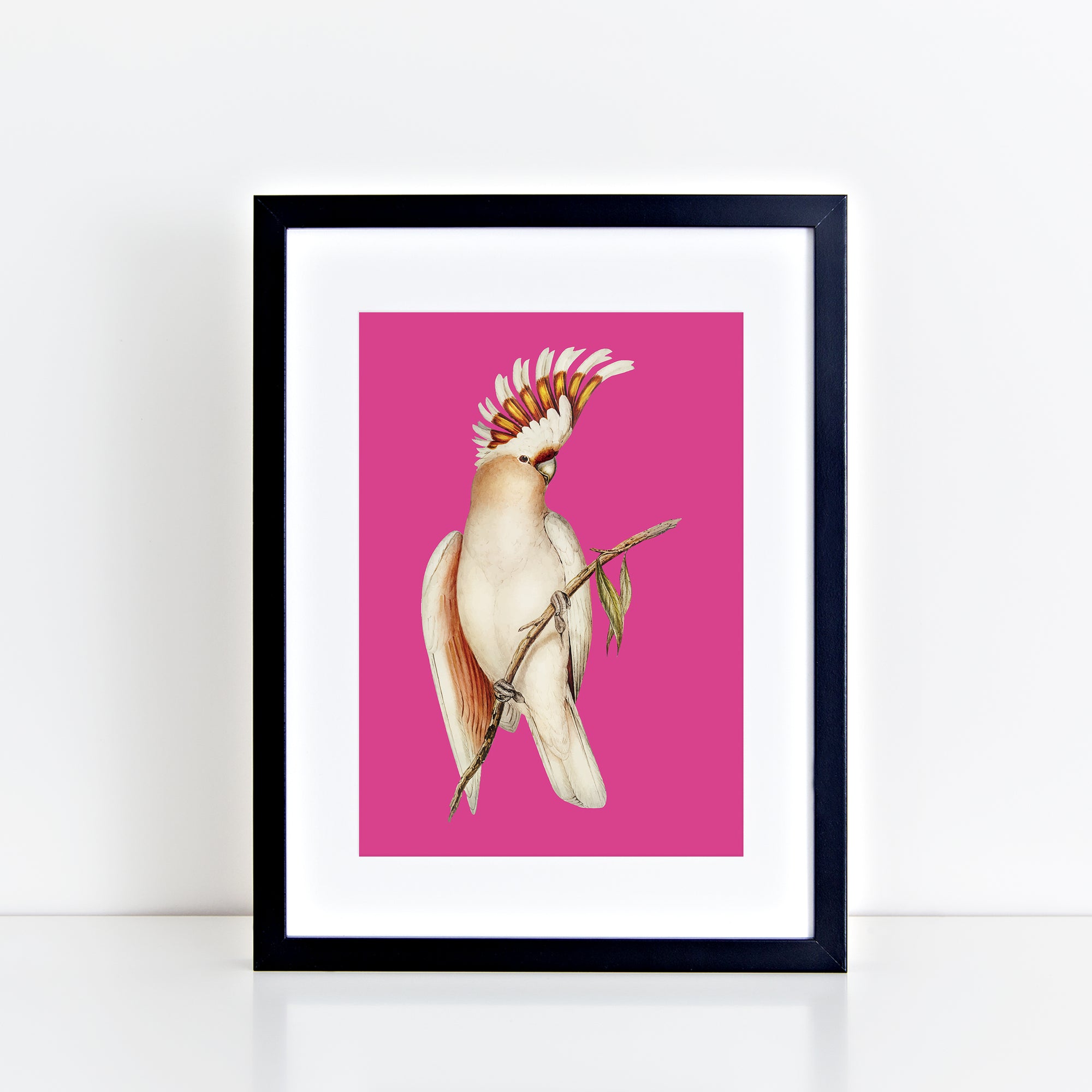 Vintage Cockatoo (Pink) Print