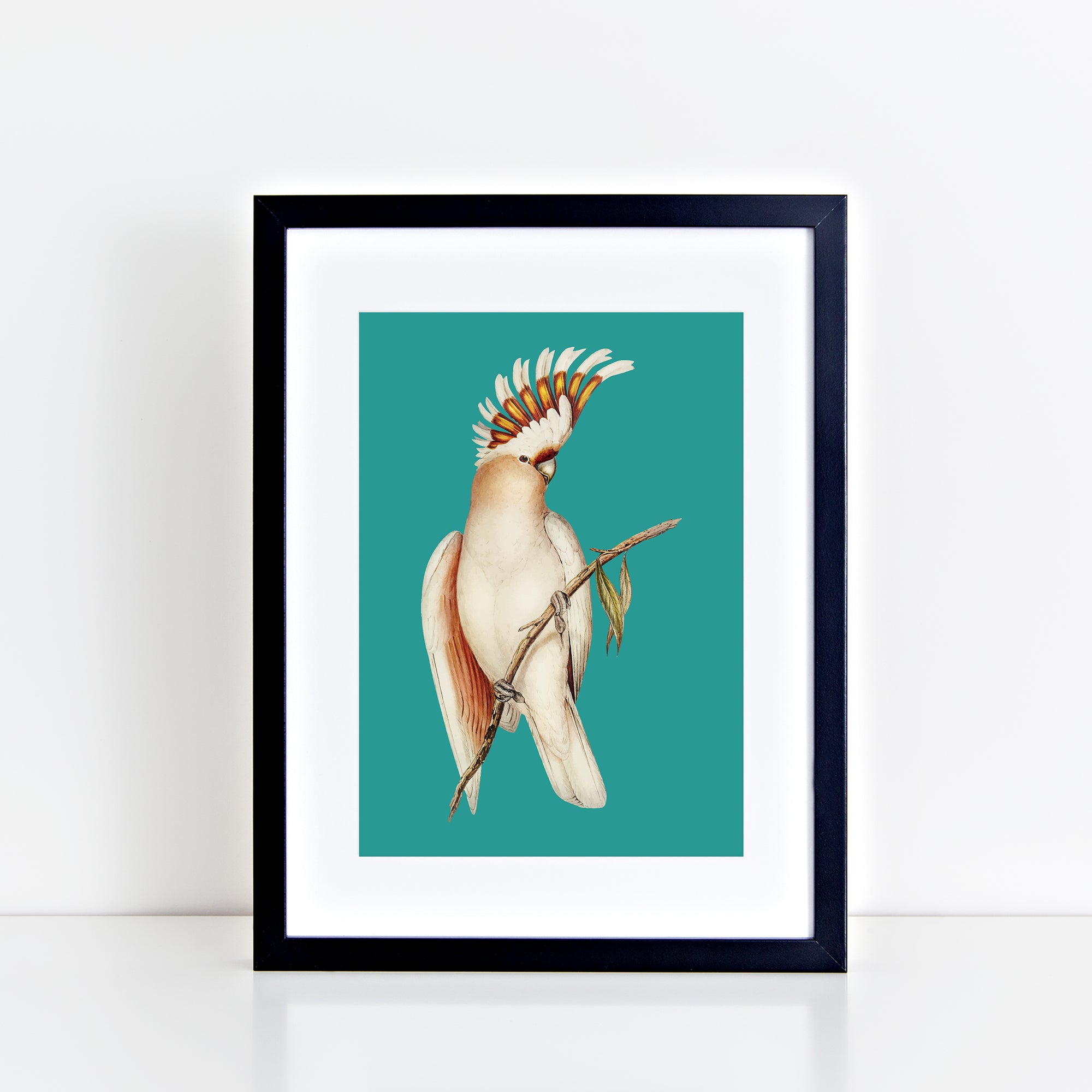 Vintage Cockatoo (Aqua) Print