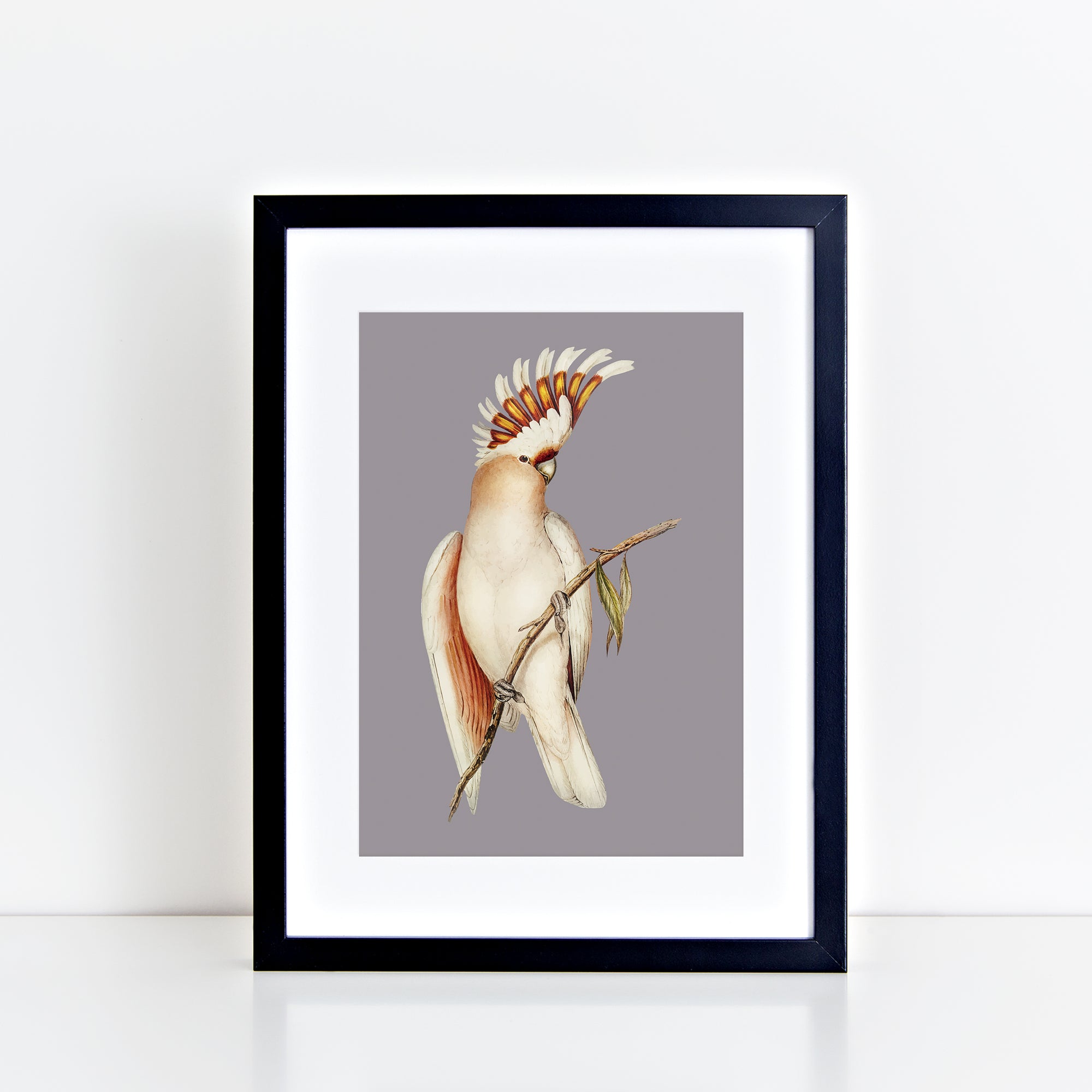 Vintage Cockatoo (Warm Grey) Print