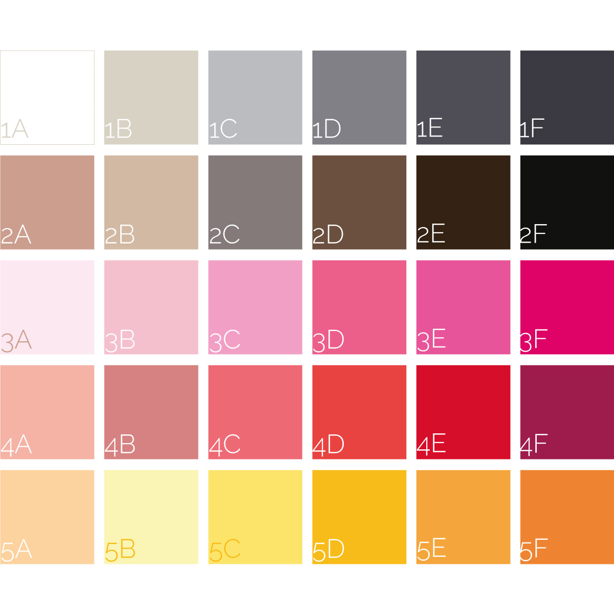 Multi Font Family Rules Canvas