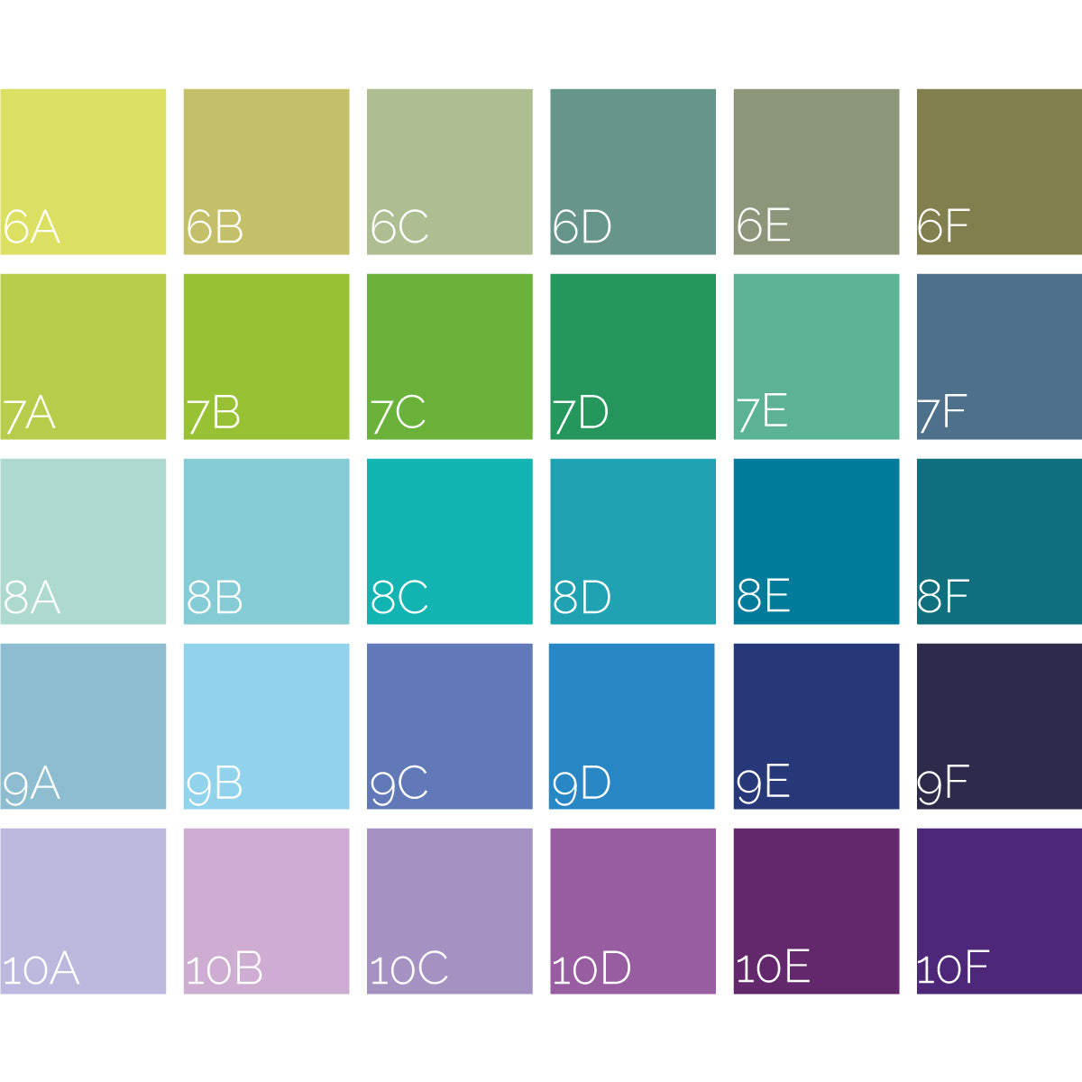 Multi Font Family Rules Canvas