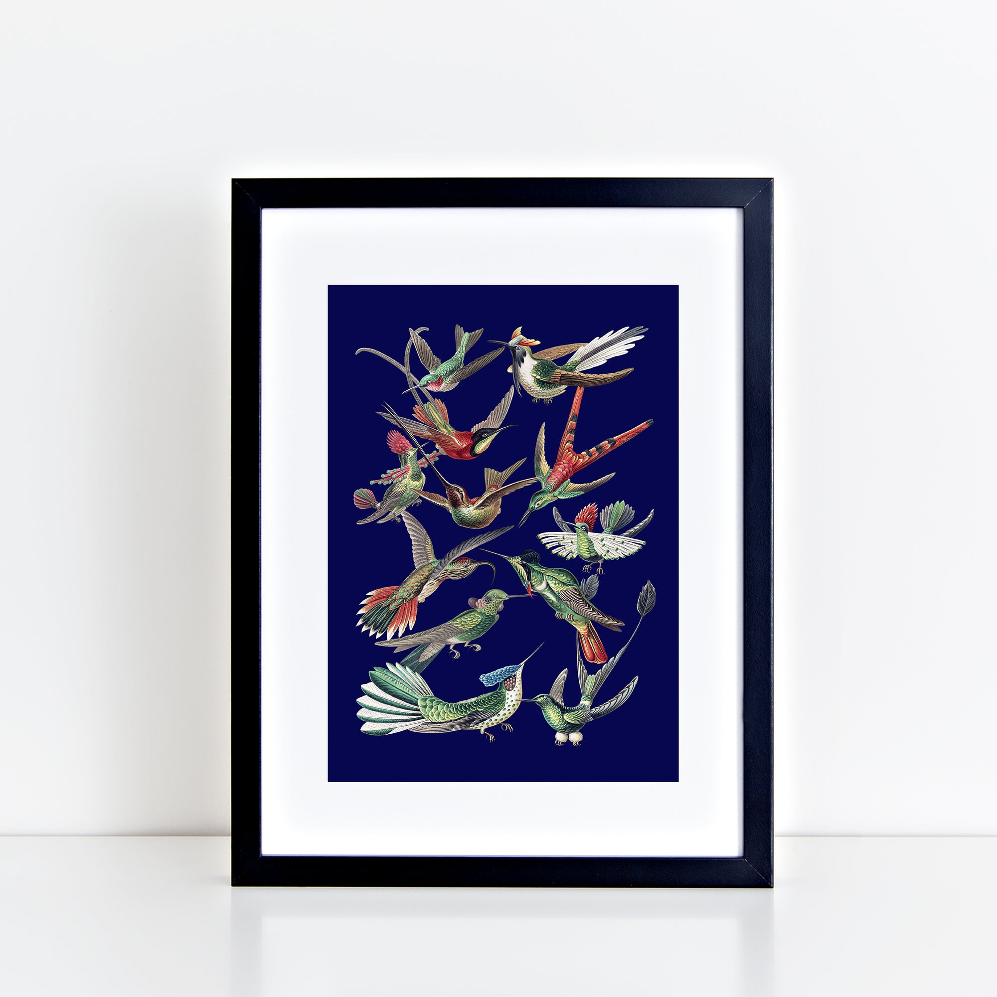 Vintage Birds (Blue) Print