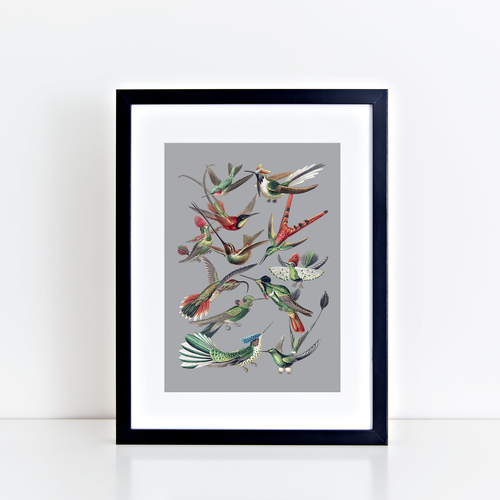 Vintage Birds (Grey) Print