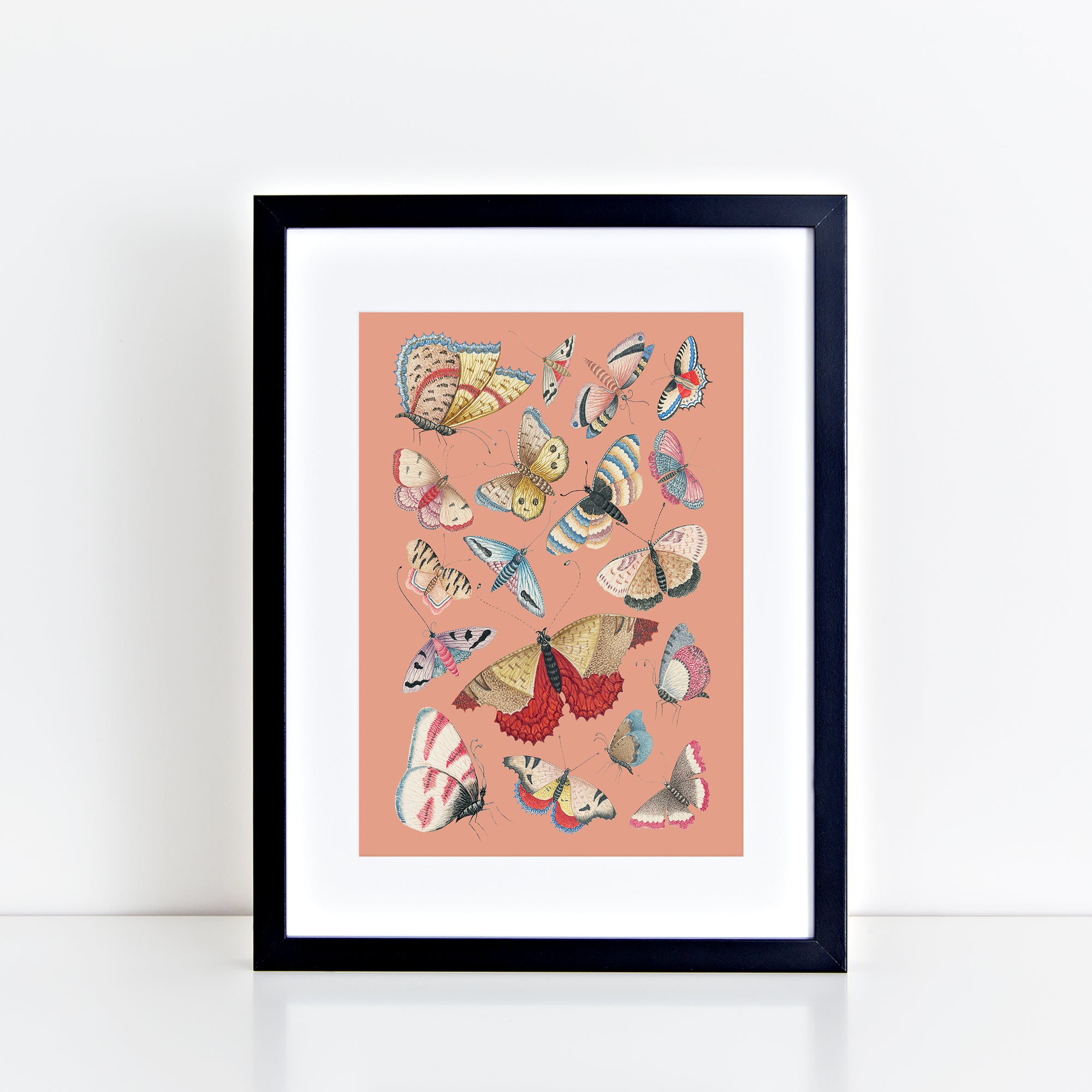 Vintage Butterflies (Salmon) Print