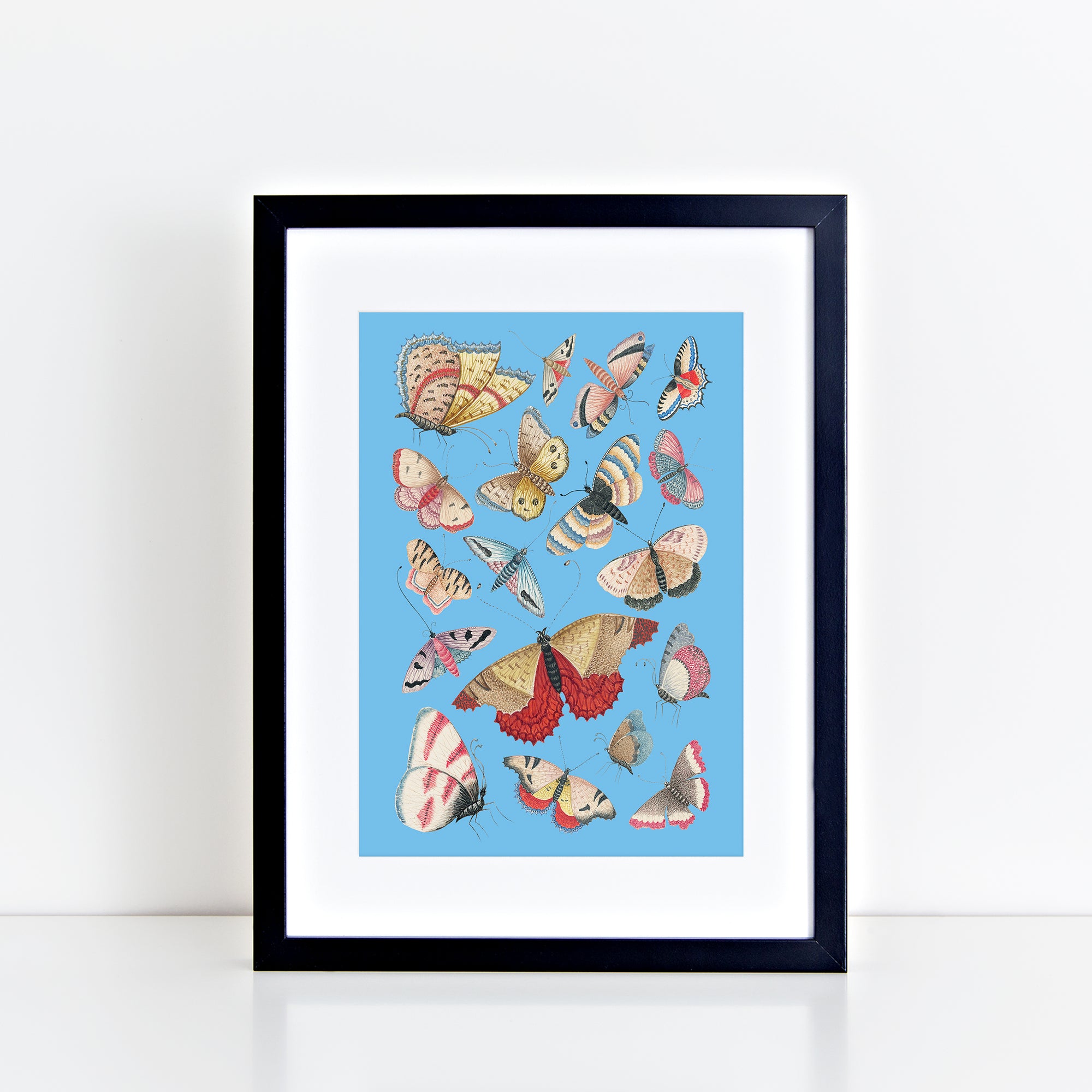 Vintage Butterflies (Sky Blue) Print