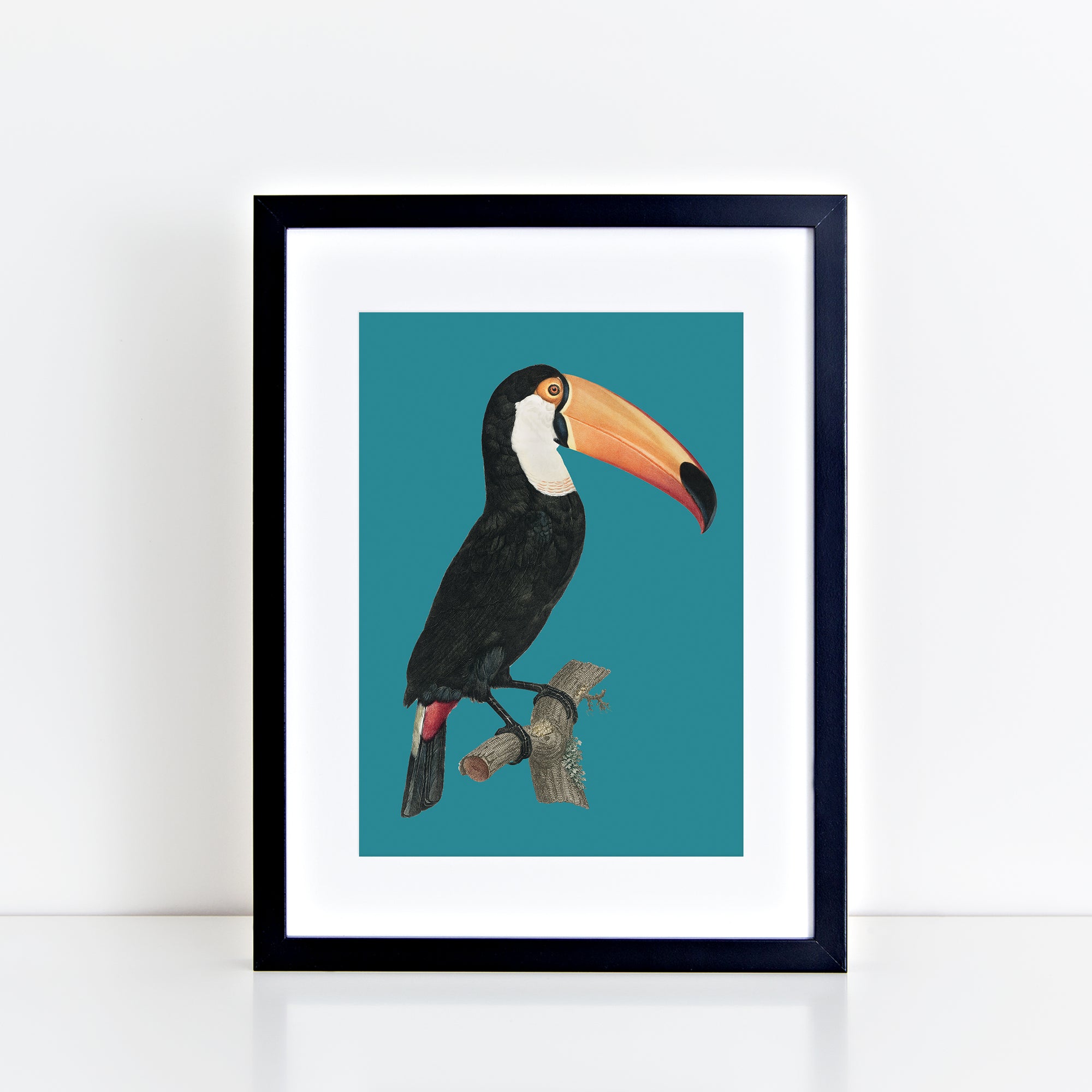 Vintage Toucan (Teal) Print