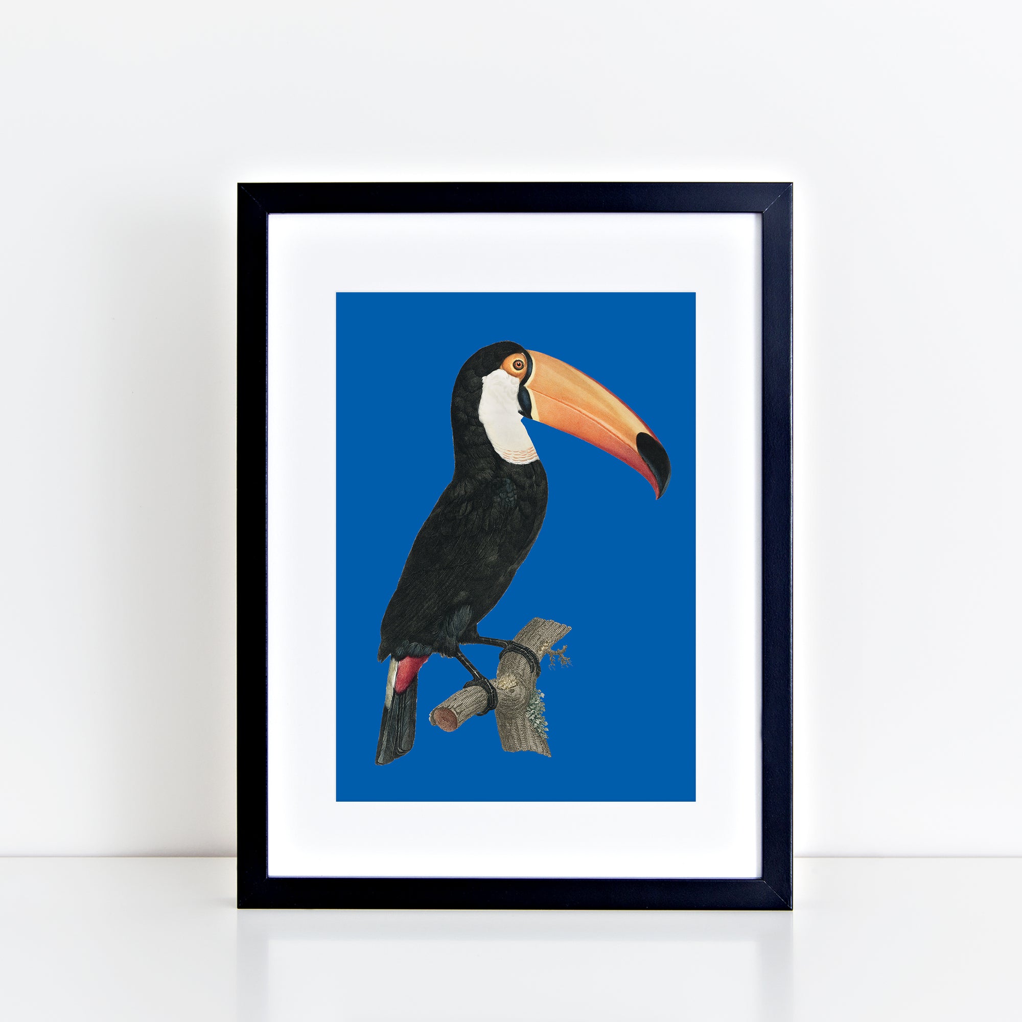 Vintage Toucan (Royal Blue) Print