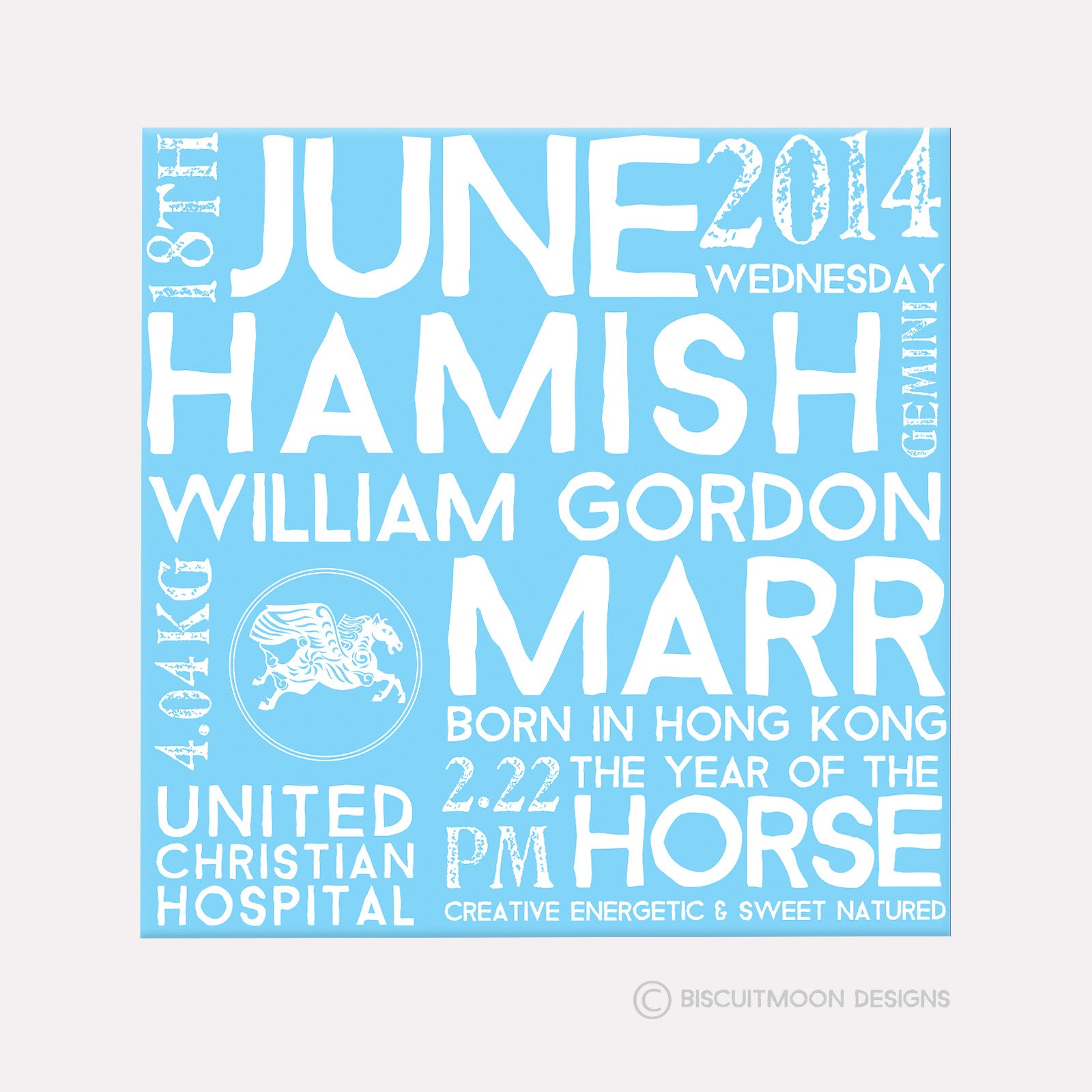 Zodiac Birth Canvas