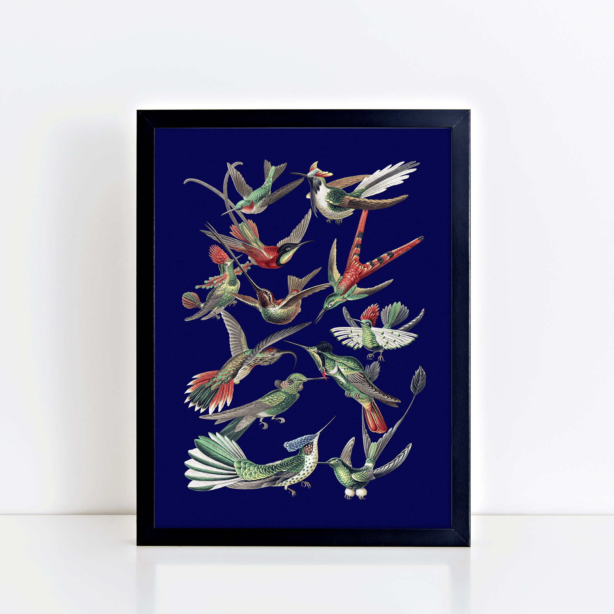 Vintage Birds (Blue) Print