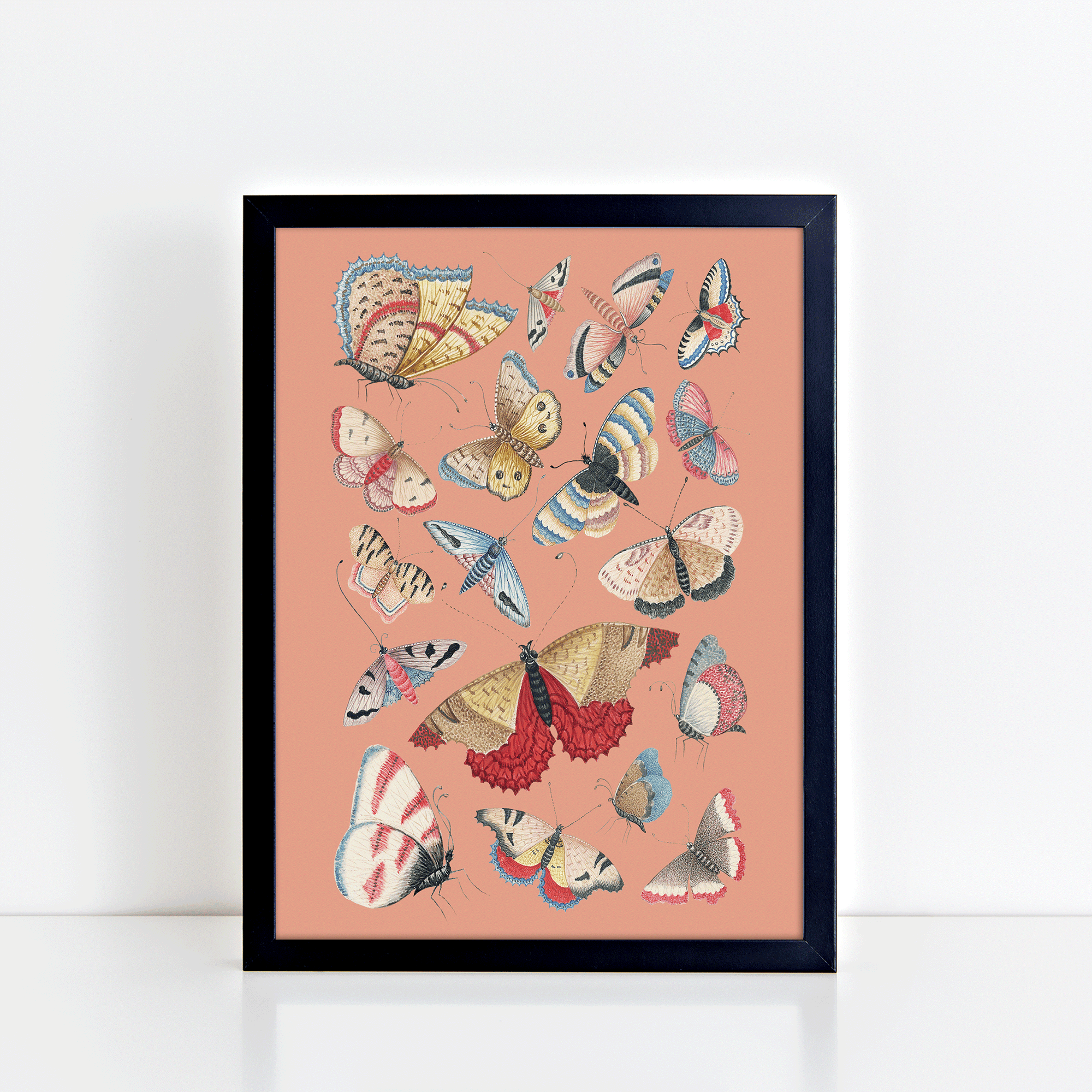 Vintage Butterflies (Salmon) Print
