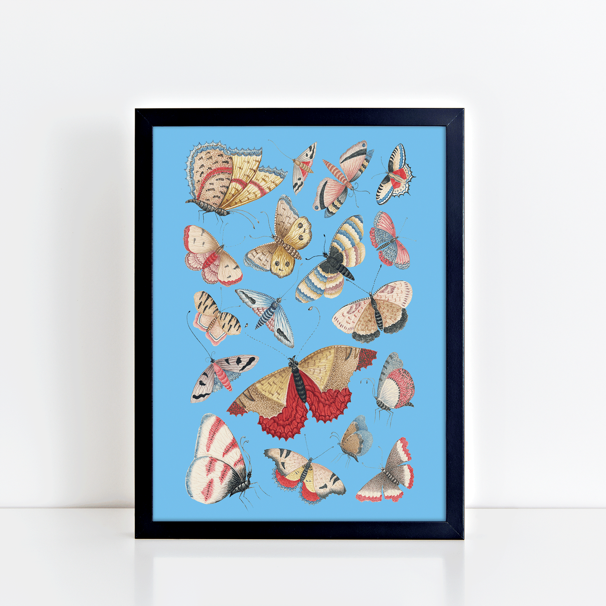 Vintage Butterflies (Sky Blue) Print