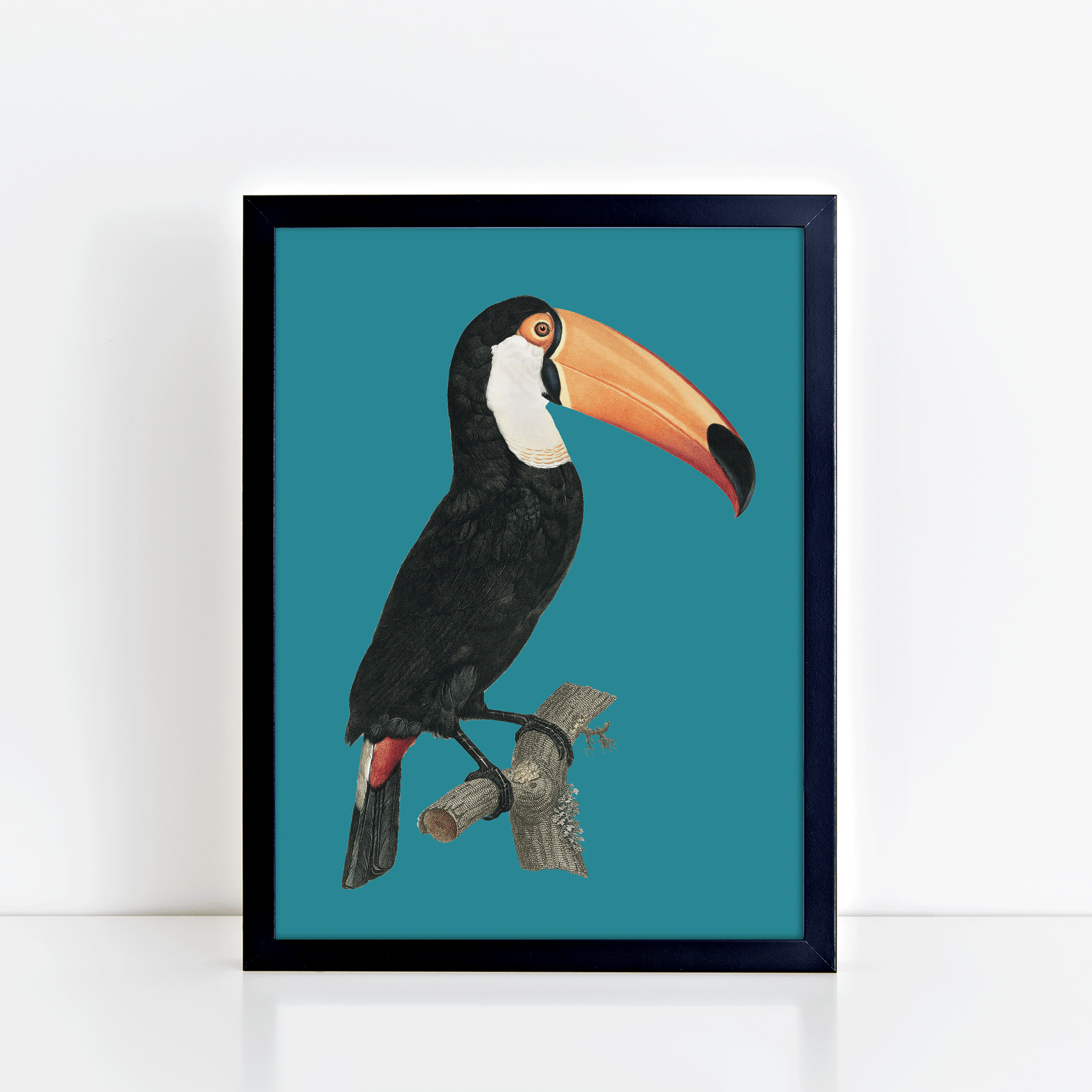 Vintage Toucan (Teal) Print