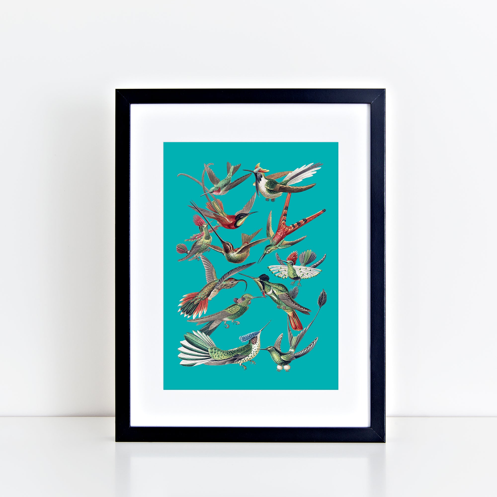 Vintage Birds (Aqua) Print