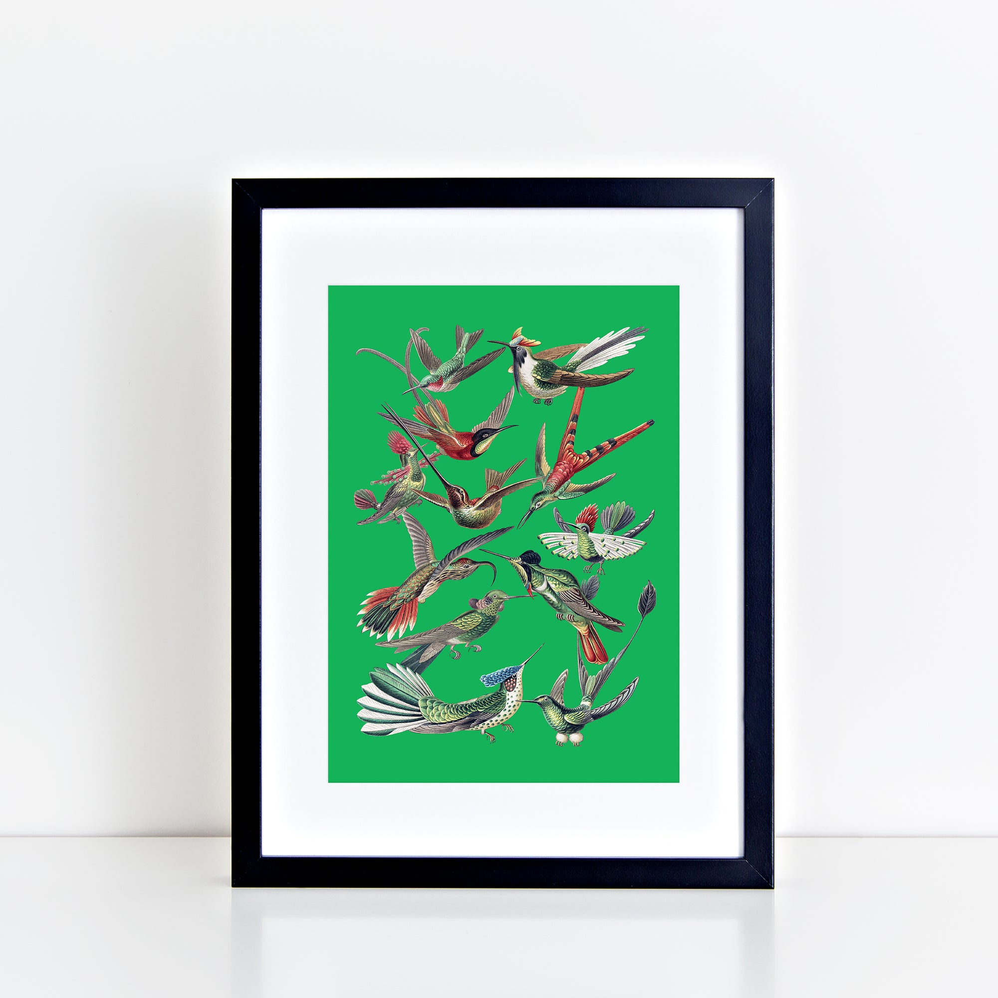 Vintage Birds (Green) Print