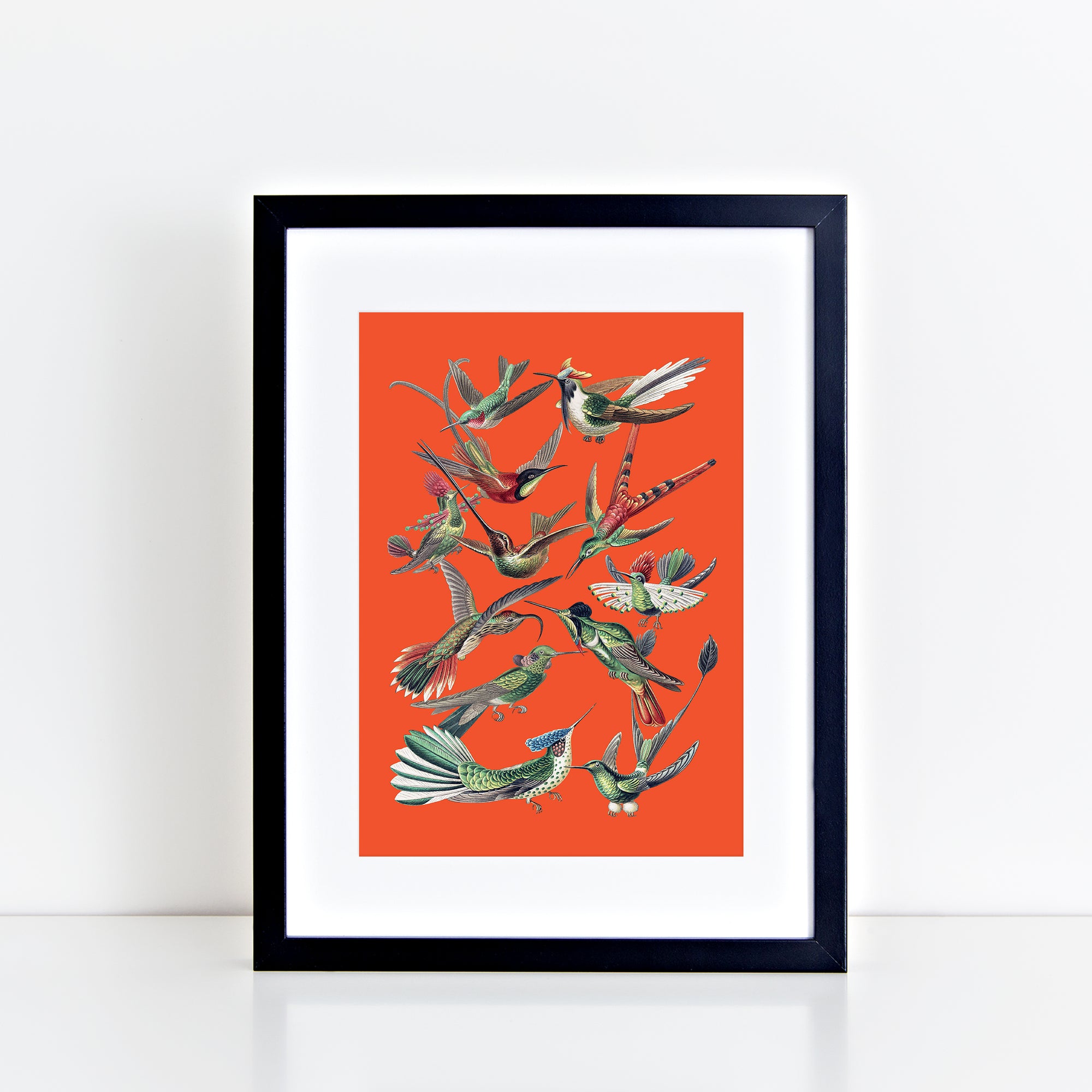 Vintage Birds (Orange) Print