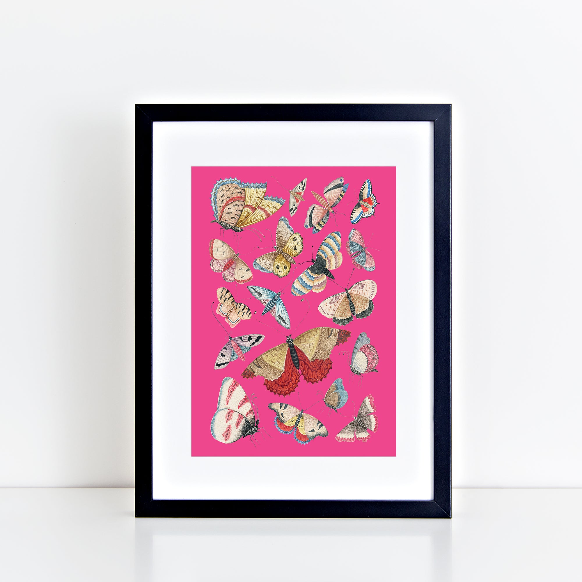 Vintage Butterflies (Pink) Print