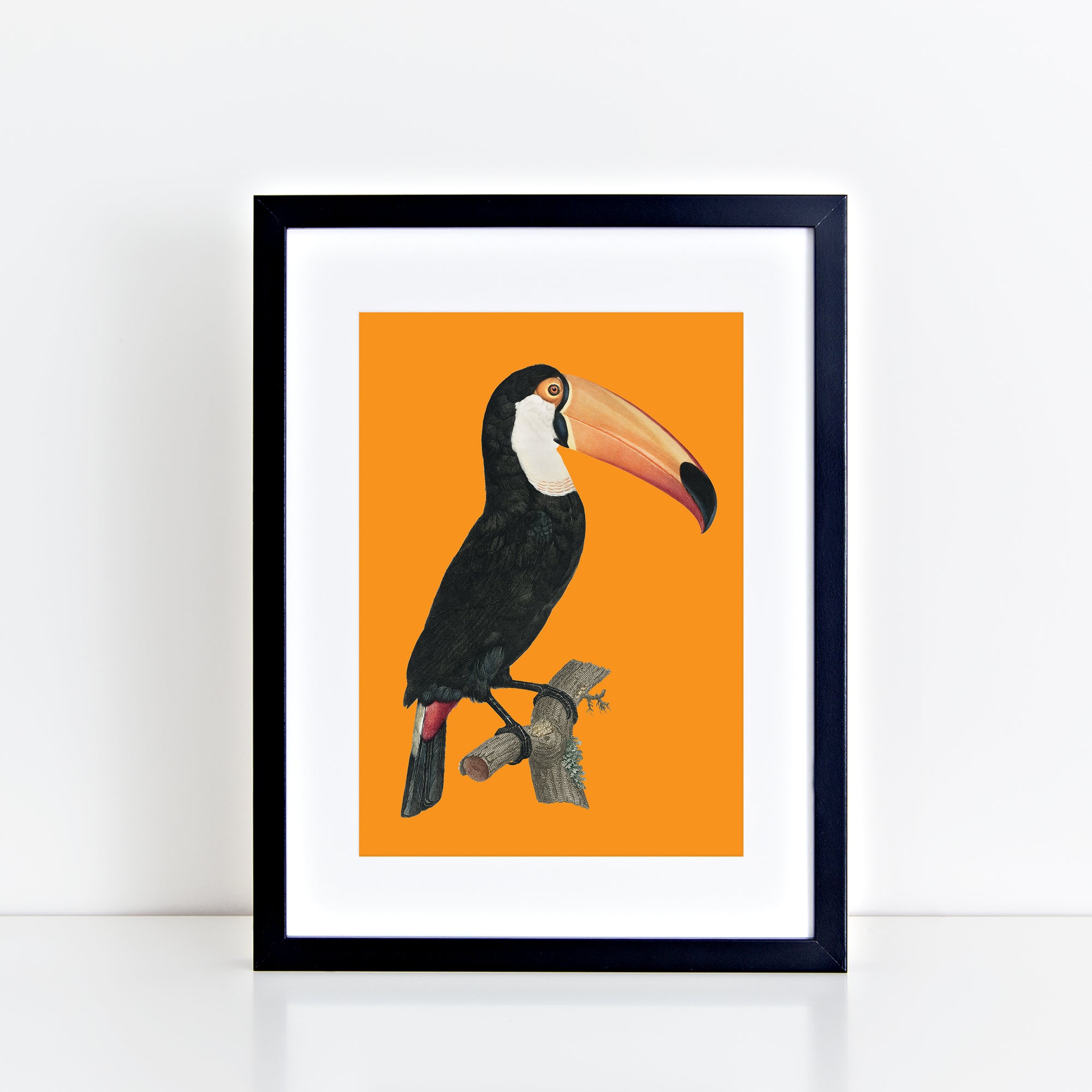 Vintage Toucan (Orange) Print
